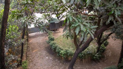 The lawn was an English garden